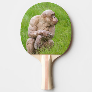 Raquete De Ping Pong Chimpanzé sem Cabelos