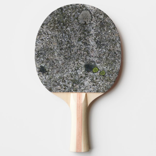 Raquete De Ping Pong Cinza da rocha do granito com musgo (Frente)