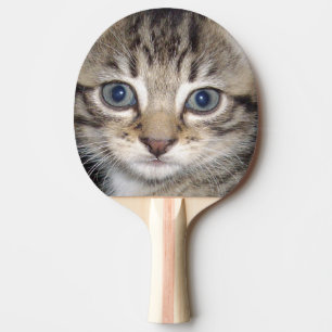 Raquete De Ping Pong Cinza De Gatinho Com Fenda,