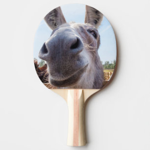 Raquete De Ping Pong Cinzas Cômicas Sorrindo Donkey