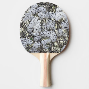 RAQUETE DE PING PONG CLEMATIS SELVAGEM   