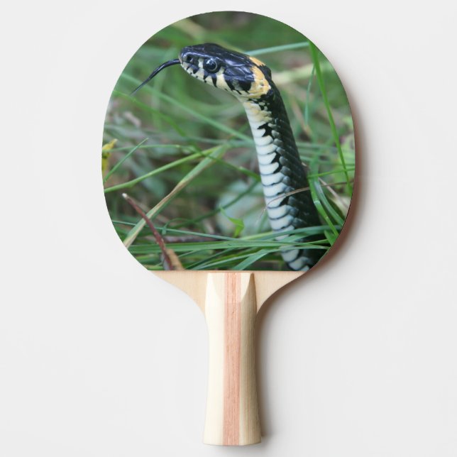Raquete De Ping Pong Cobra (Frente)
