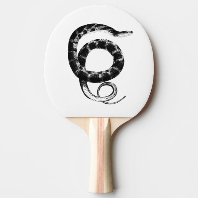 Raquete De Ping Pong Cobra de água de barbatanas planas pretas (Frente)