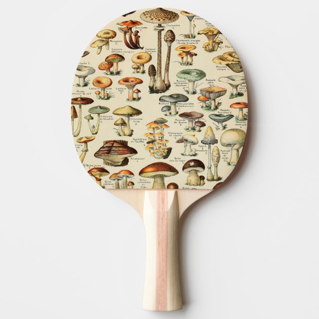 Raquete De Ping Pong Coleção de Cogumelos   (Frente)