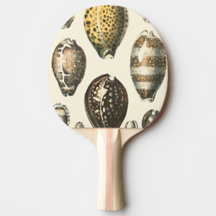 Raquete De Ping Pong Conchas Selvagens Exclusivamente Formatadas