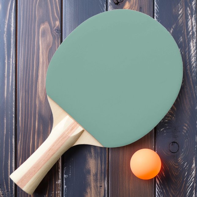 Raquete De Ping Pong Cor de Recife Solid Aqua (Criador carregado)