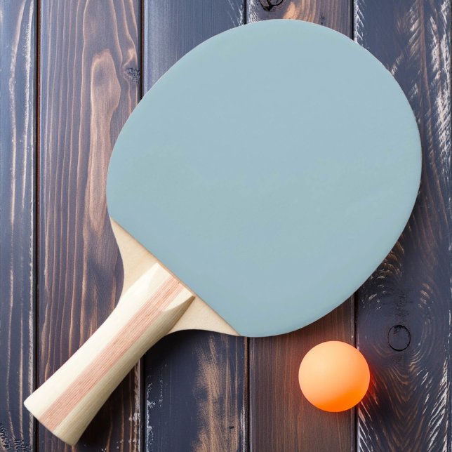 Raquete De Ping Pong Cor do Céu de Luz Sólida (Criador carregado)