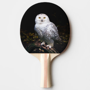 Raquete De Ping Pong Coruja de neve majestosa no inverno