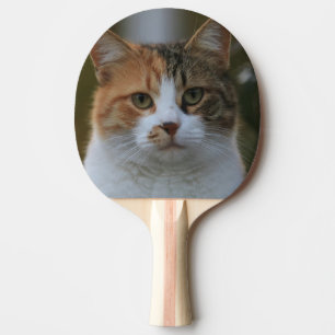 Raquete De Ping Pong Crie Sua Própria Foto Personalizada de Gato de Est
