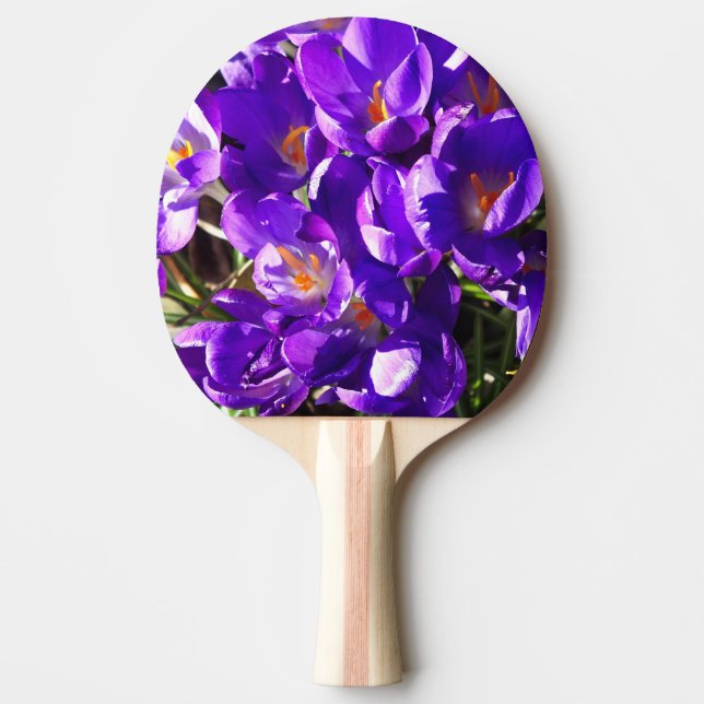 RAQUETE DE PING PONG CROCOS DA PRIMAVERA (Frente)