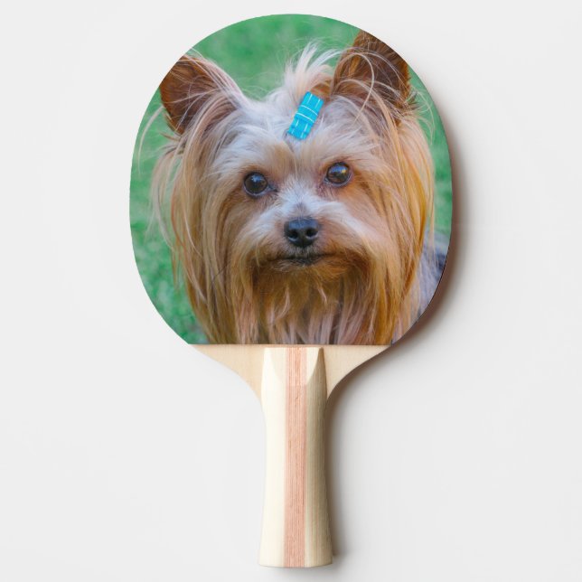 Raquete De Ping Pong Cute Yorkshire Terrier Dog Head (Frente)