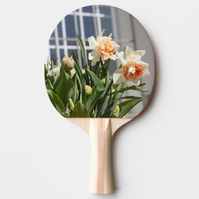 Raquete De Ping Pong Daffodils fodils fodils primavera (Frente)
