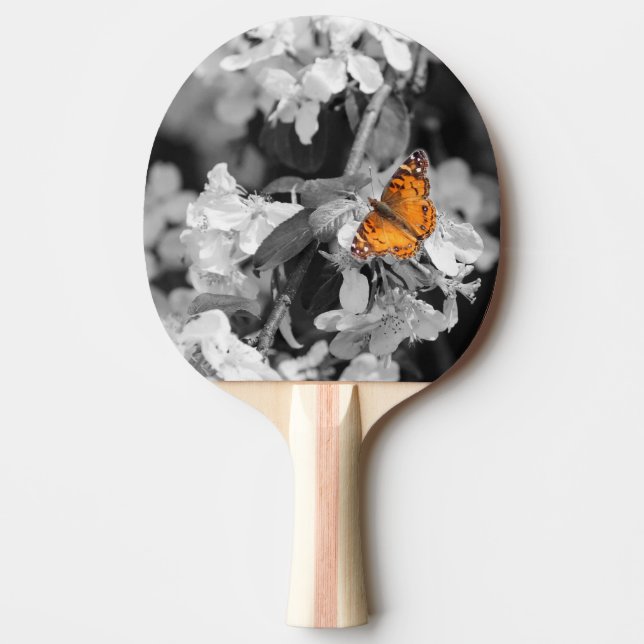 Raquete De Ping Pong Dama Americana Ping Pong Paddle (Frente)