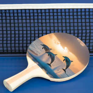 Raquete De Ping Pong Dançando no Crepúsculo: Três Golfinhos Saltando