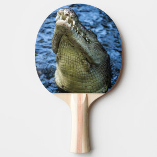 Raquete De Ping Pong Dentes De Crocodilo Água