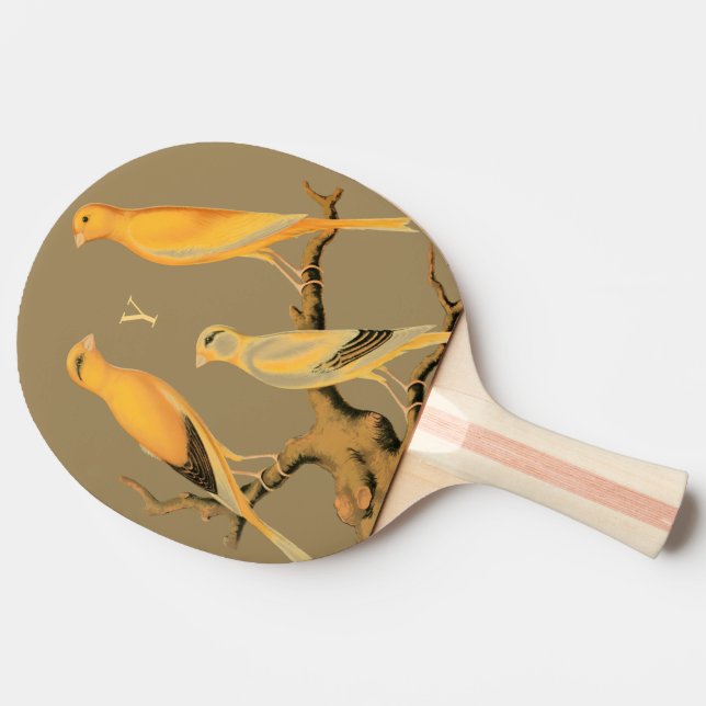 Raquete de Ping Pong – Design Yorkshire Canaries (Lateral)