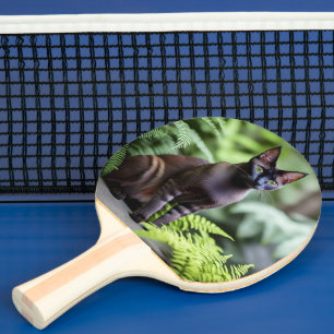 Raquete De Ping Pong Dexter O Gato Negro Siamês, Ping Pong Paddle