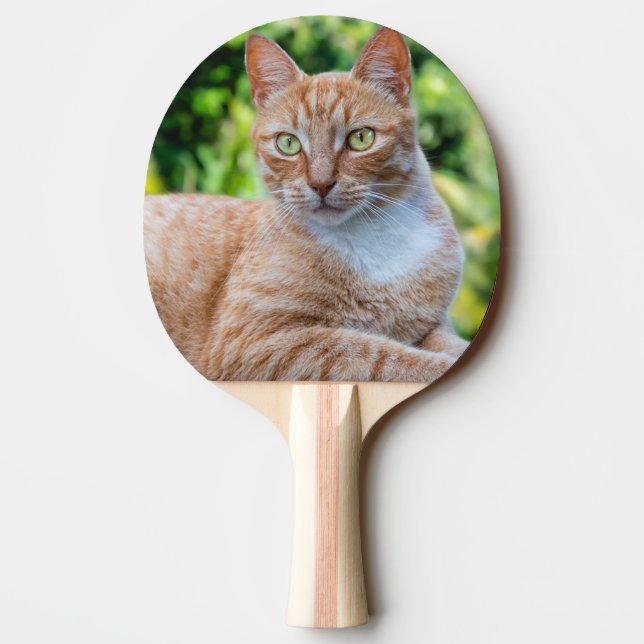 Raquete De Ping Pong Doce gatinho (Verso)