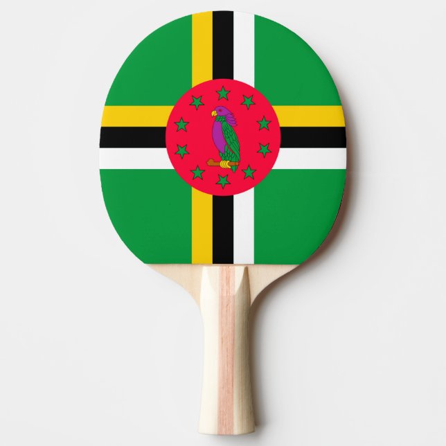 Raquete De Ping Pong Domínica (Frente)