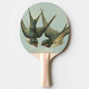 Raquete De Ping Pong Duas andorinhas