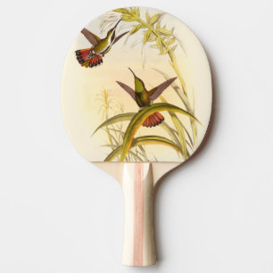 Raquete De Ping Pong Duas Aves Hummingbird Coloridas Projetando para a 