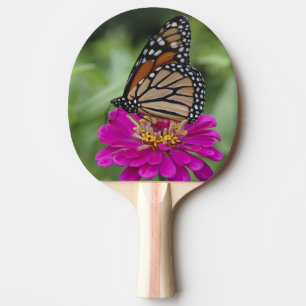 Raquete De Ping Pong E.U.A., Massachusetts, Boylston, Tower Hill
