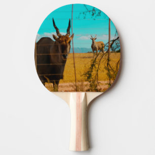 Raquete De Ping Pong Eland Antelope Animal África do Sul ZA