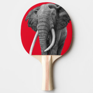 Raquete De Ping Pong Elefante-touro - Desenho a lápis
