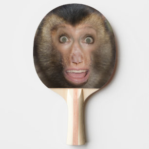 Raquete De Ping Pong Engraçado Surpreendido Macaco Face