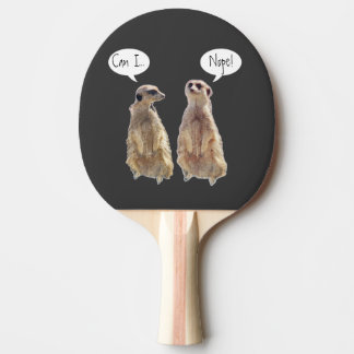 Raquete De Ping Pong Engraçados e bonitos meerkats na conversa