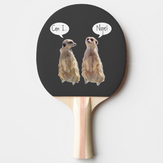Raquete De Ping Pong Engraçados e bonitos meerkats na conversa (Frente)