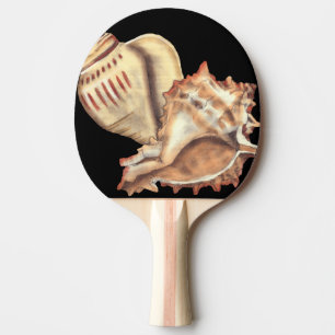 Raquete De Ping Pong Escudos artísticos do Conch