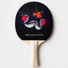 Raquete De Ping Pong Esportes De Borboleta