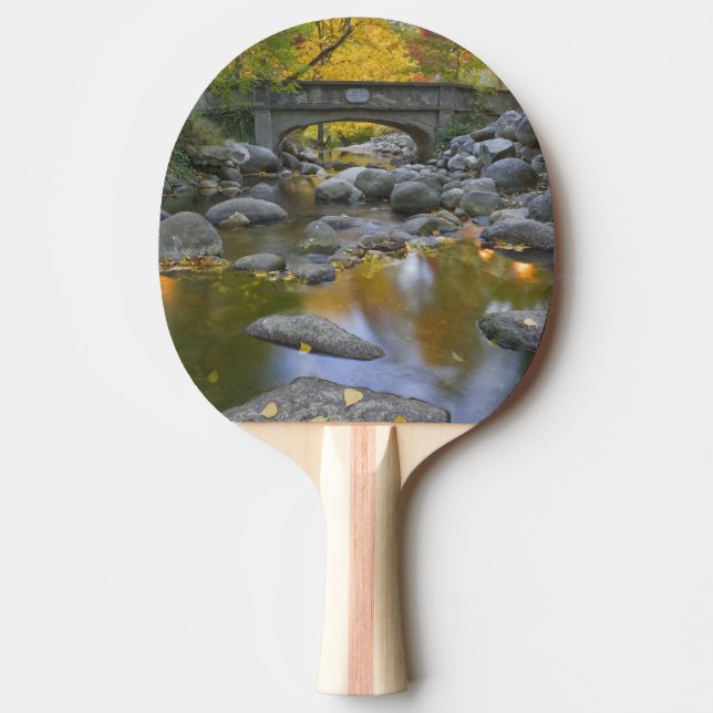 Raquete De Ping Pong EUA, Oregon, Ashland, Lithia Park.Outono (Frente)