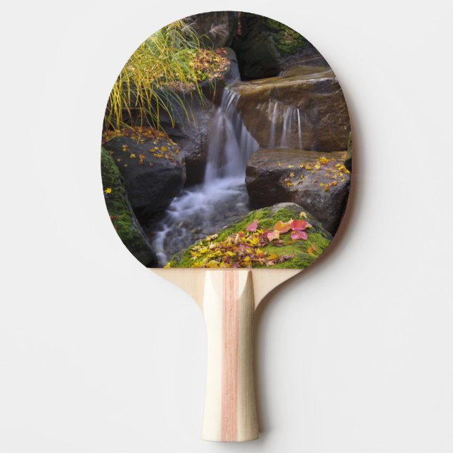 Raquete De Ping Pong EUA, Washington, Seattle (Frente)