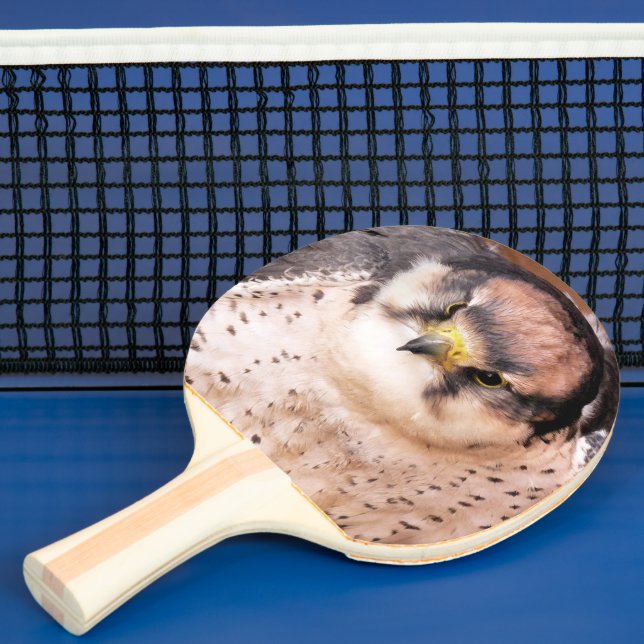 RAQUETE DE PING PONG FALCON (Insitu)