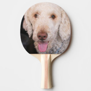 Raquete De Ping Pong Felpudo