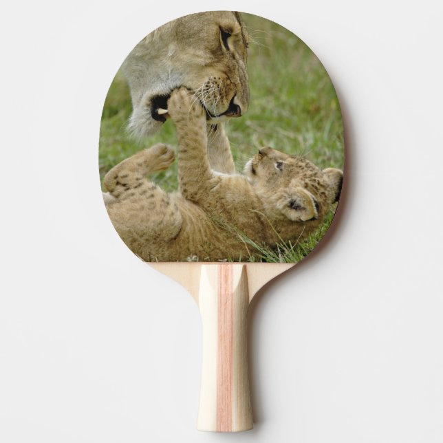 Raquete De Ping Pong Filhote de Leão Brincando (Frente)