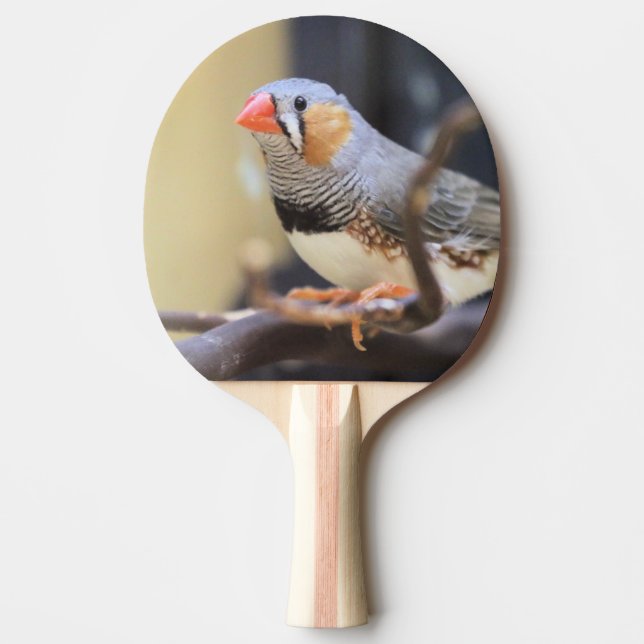 Raquete De Ping Pong Finch (Frente)