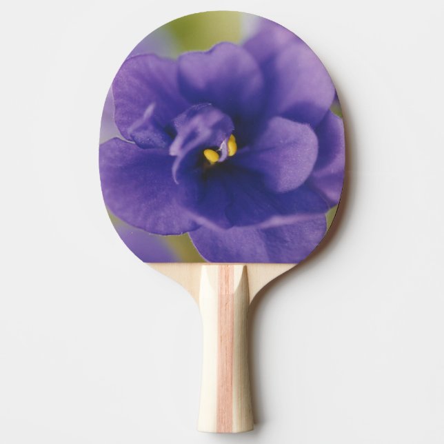 Raquete De Ping Pong Flor Azul Sangrando de Violet Saintpaulia Zoomed (Frente)