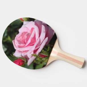 Raquete De Ping Pong flor rosa perfeita, rosa rosa e botões. amor, frei