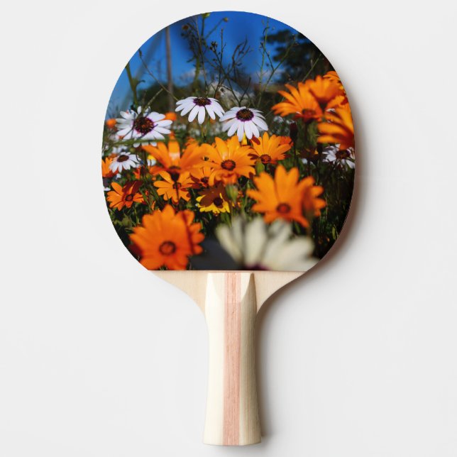 Raquete De Ping Pong Flores namaqualand (Frente)