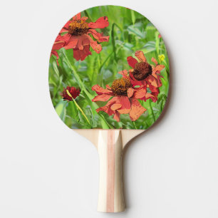 RAQUETE DE PING PONG FLÔRES VERMELHAS DE RUDBECKIA
