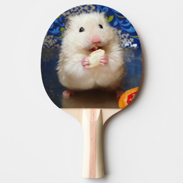 Raquete De Ping Pong Fluffy - Hamster Sírio Kokolinka (Frente)