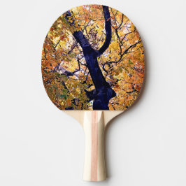 Raquete De Ping Pong Folhas amarelas e laranja