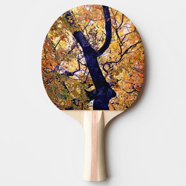 Raquete De Ping Pong Folhas amarelas e laranja (Frente)