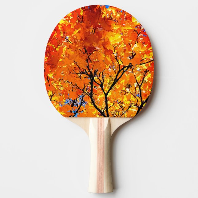 Raquete De Ping Pong Folhas de laranja (Frente)