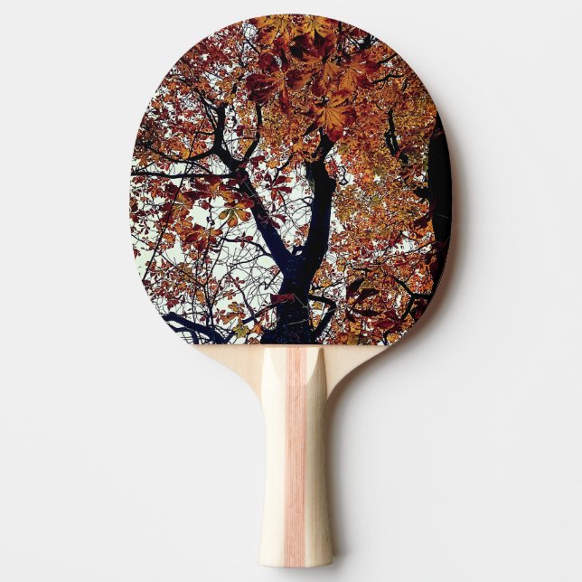 Raquete De Ping Pong Folhas de ouro (Frente)
