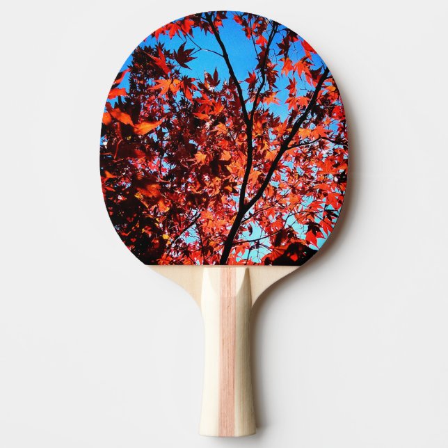 Raquete De Ping Pong Folhas de outono (Frente)