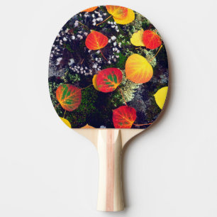 Raquete De Ping Pong Folhas em uma rocha coberta de líquen, Montanhas R